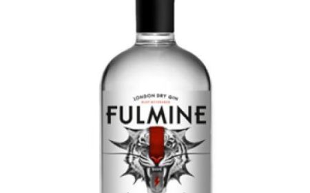 Glep Gin London Dry Fulmine: Juniper and Lime Nose, Citrusy Sip, a Traditional-Style Gin