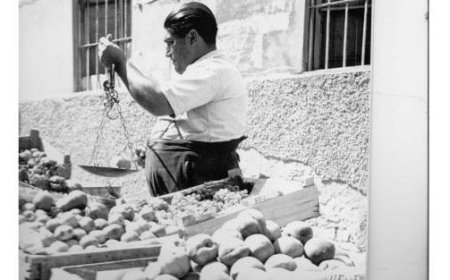 La stadera, reine humble des marchés
