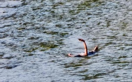 Residents in Parma Beat the Heat by Taking Beach Selfies