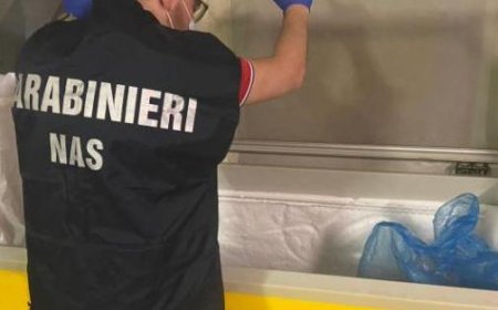 Pizzeria in der Provinz Reggio von Nas-Operation in Parma bestraft
