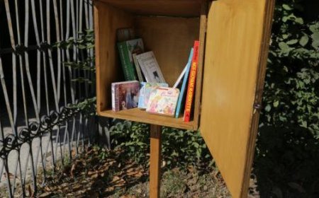 Das Book-Crossing kehrt in den Ducale Park zurück