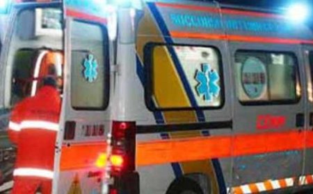 Un motocycliste blessé après avoir heurté un cerf sur la route : hospitalisé à Vaio