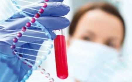 Key to Rejuvenating Immune System Discovered in Mice, Scientists Say