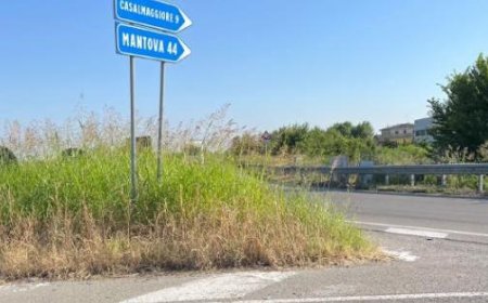 Bürgermeister von Colorno wegen Mäharbeiten am Kreisverkehr interpelliert: „Weiß die Minderheit nicht, dass es in Torrile ist?“