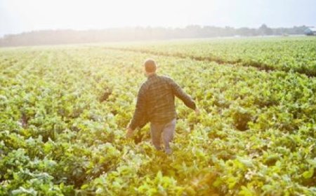 Coldiretti prêt à se mobiliser à Parme pour défendre l’origine agricole des produits