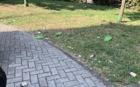 Grüner Bereich in Via Pedretti “vandalisiert und verschmutzt” – Die Fotos