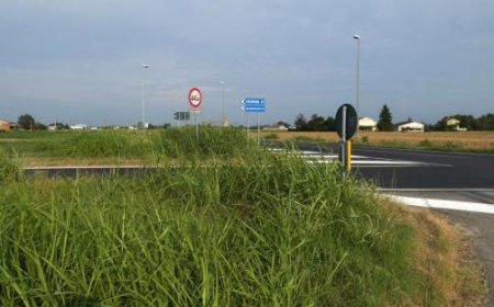 Kreuzungen in der Bassa werden zu kleinen Dschungeln: Die Gefahr wächst – Fotos