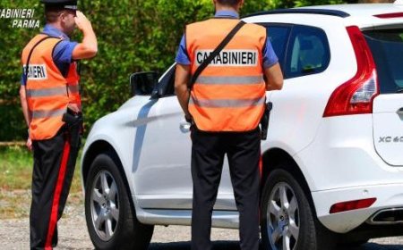 Un article d’actualité en français : “Premièrement, il lui donne un lift, se dispute pour une fille, puis l’attaque le envoyant à l’hôpital. Un jeune de 20 ans inculpé”