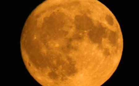 Jagd auf den Hirschvollmond: Heute Abend alle mit den Augen am Himmel