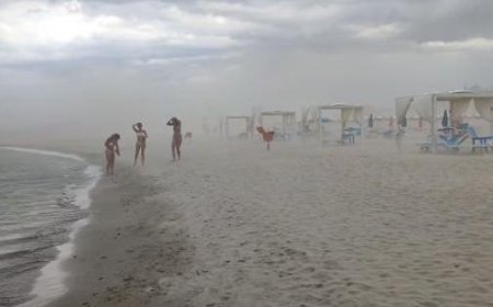 Sturm in Bologna: Baum auf Autobahn, Flüge umgeleitet. Sandsturm in Rimini, Unwetterschäden auch in den Marken – Video
