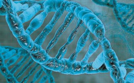 Les protéines sanguines : un indicateur de 67 maladies
