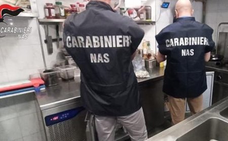 Un restaurant pizzeria à Parme fermé pour présence de cafards et saleté
