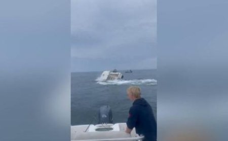Wal kollidiert mit Fischerboot: Das schockierende Video des Angriffs