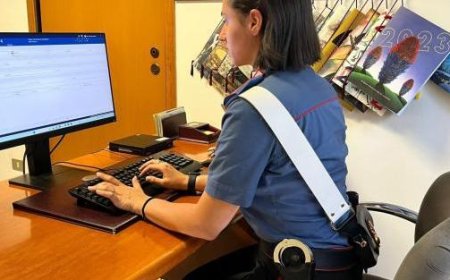 Seniorin als “Detektivin” entlarvt Vandalen, der dreimal ihre Autoreifen zerschlug: 50-jähriger Mann angezeigt