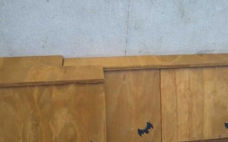 L’installation de 40 maisons à chauve-souris pour lutter contre les moustiques à Parme est en cours