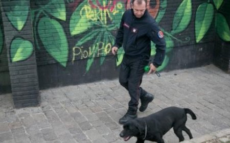 Einsame ältere Frau in Neviano verlässt Einrichtung: tot aufgefunden