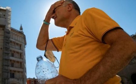 Vague de chaleur record, les conseils de l’expert : « Nous avons besoin de villes plus vertes. Attention aux fragiles »