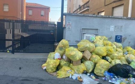 Une montagne de déchets non ramassés dans la rue Cecchi