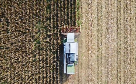 Un sexagénaire meurt après avoir été renversé par un véhicule agricole