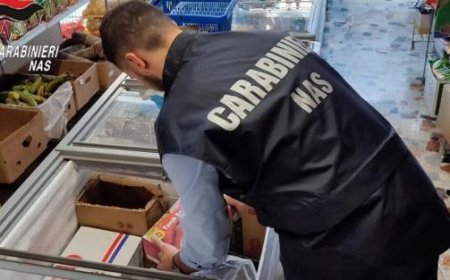Verfallene Lebensmittel und Getränke in ethnischen Geschäft in Parma: 55 Kilo Produkte beschlagnahmt und 2.000 Euro Strafe