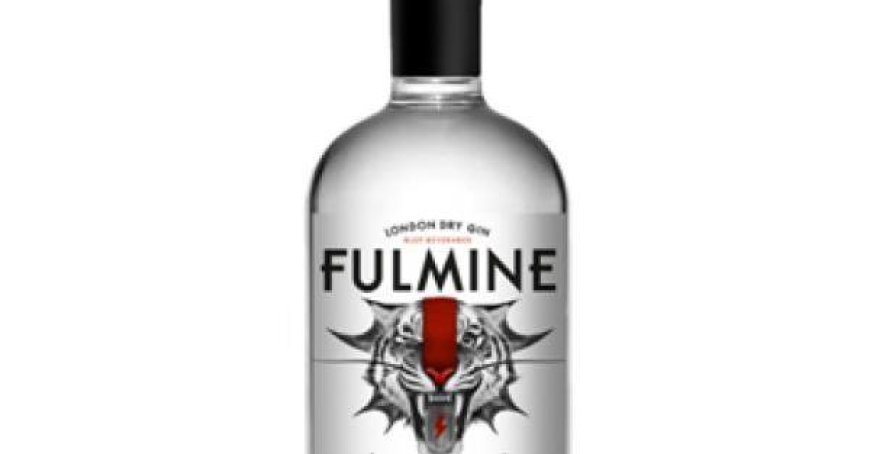 Glep Gin London Dry Fulmine: Juniper and Lime Nose, Citrusy Sip, a Traditional-Style Gin