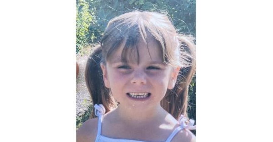 Arrêté le présumé meurtrier de la fillette de six ans en France : le compagnon de la mère