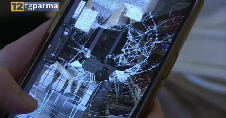 Cambriolage rue 22 juillet, un verger dans le viseur – Vidéo