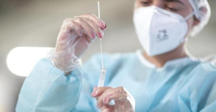 Covid : la variante Kp3 se propage rapidement, 16 cas en 7 jours à Parme