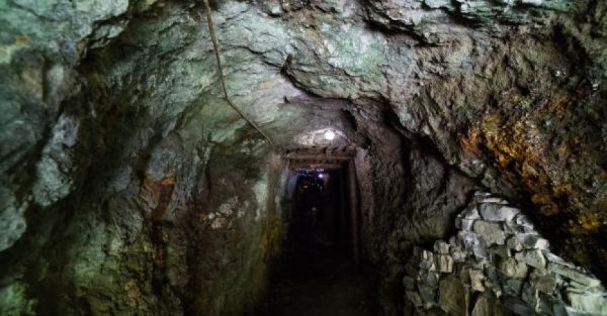 Corchia Takes Another Step Forward in Fight Against New Extractions