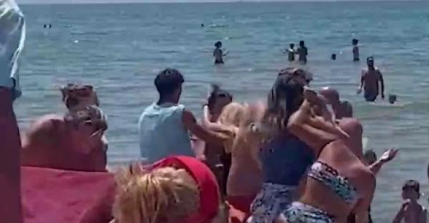 Streit zwischen Frauen am Strand um eine Liege, das Video ist viral geworden – Schauen Sie sich das Video an