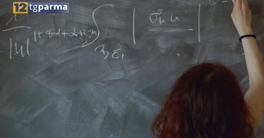 Cristana De Filippis (Unipr) reçoit la plus importante reconnaissance en mathématiques européennes – Vidéo