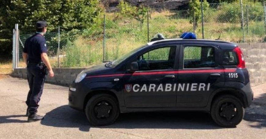 Schädel im Wald gefunden: Sensationsfund in Langhirano