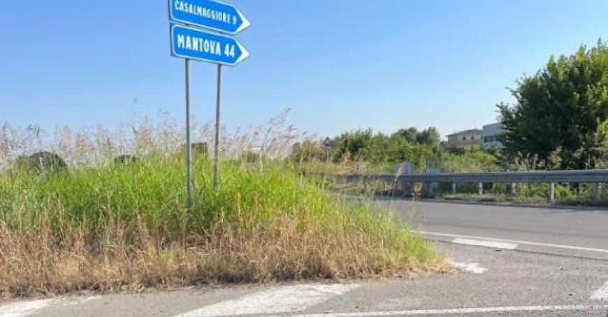 Bürgermeister von Colorno wegen Mäharbeiten am Kreisverkehr interpelliert: „Weiß die Minderheit nicht, dass es in Torrile ist?“