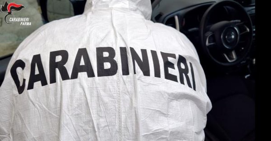 Mann verletzt sich mit Glas, während er Autos in Garagen plündert: DNA überführt die berüchtigte “Bonnie aus Parma”