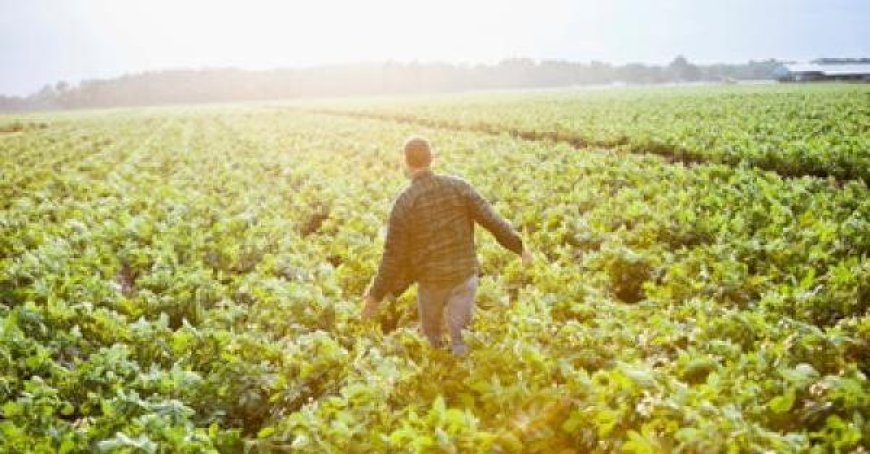 Coldiretti prêt à se mobiliser à Parme pour défendre l’origine agricole des produits