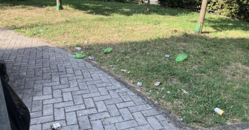 Grüner Bereich in Via Pedretti “vandalisiert und verschmutzt” – Die Fotos