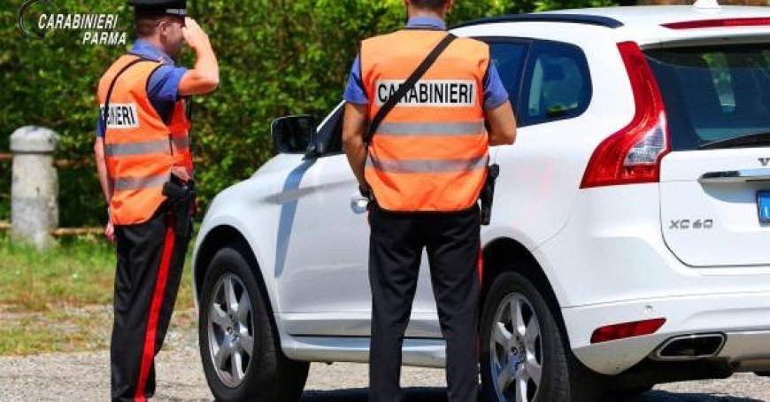 Un article d’actualité en français : “Premièrement, il lui donne un lift, se dispute pour une fille, puis l’attaque le envoyant à l’hôpital. Un jeune de 20 ans inculpé”