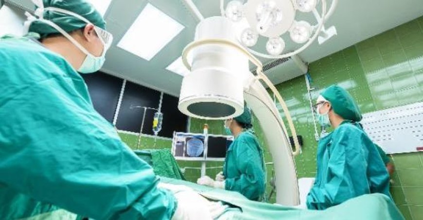 Nierentransplantation mit Superroboter in Turin