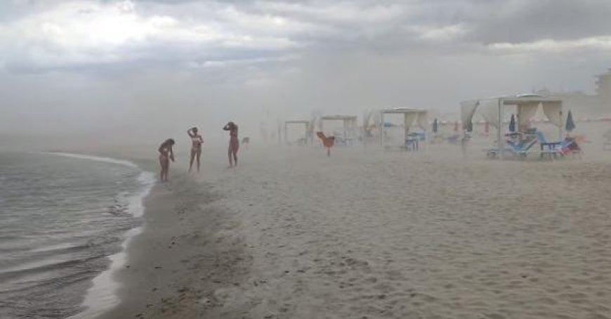 Sturm in Bologna: Baum auf Autobahn, Flüge umgeleitet. Sandsturm in Rimini, Unwetterschäden auch in den Marken – Video