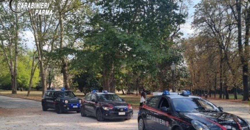 29-jähriger Ausländer wegen Drogenhandel nach Handshake vor dem Garten angezeigt
