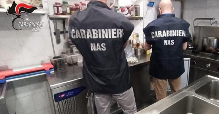 Un restaurant pizzeria à Parme fermé pour présence de cafards et saleté