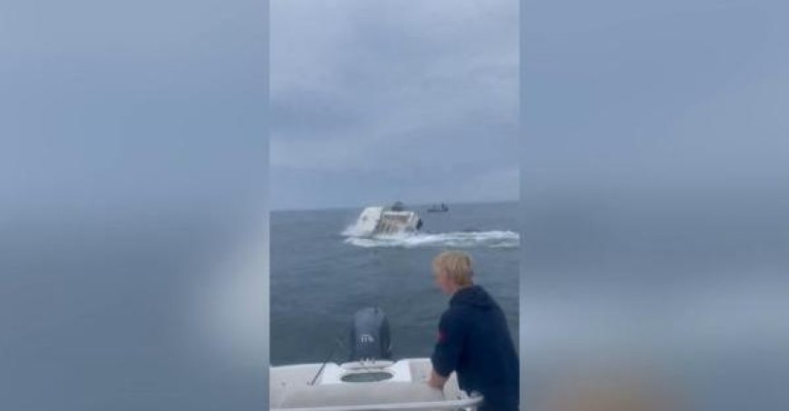 Wal kollidiert mit Fischerboot: Das schockierende Video des Angriffs