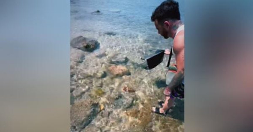 Salmo achète une langouste au restaurant et la libère : la vidéo