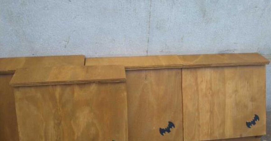 L’installation de 40 maisons à chauve-souris pour lutter contre les moustiques à Parme est en cours