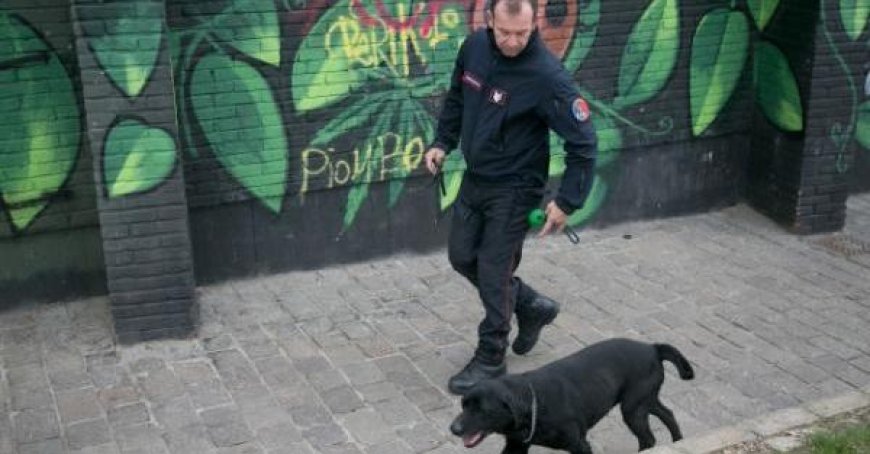 Einsame ältere Frau in Neviano verlässt Einrichtung: tot aufgefunden