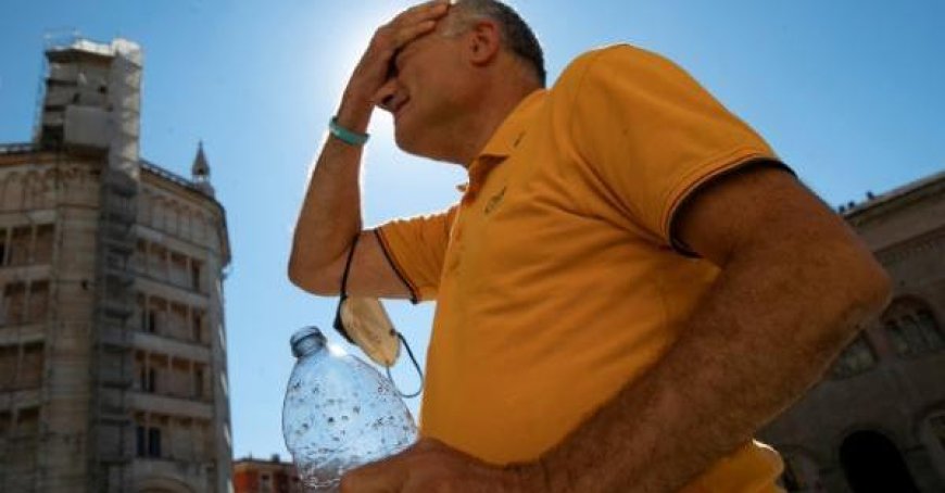 Vague de chaleur record, les conseils de l’expert : « Nous avons besoin de villes plus vertes. Attention aux fragiles »