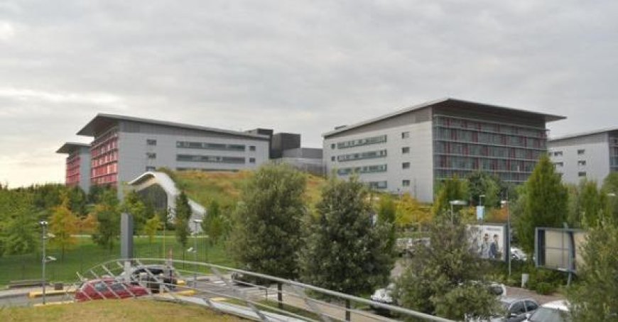 Frau im Bergamo erstochen und getötet: Sie wurde auf der Straße gefunden