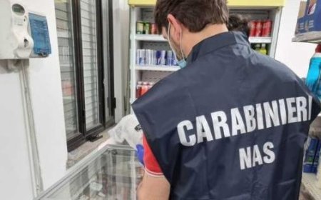 Le NAS de Parme ferme un marché ethnique à Plaisance, 104 kilos d’aliments périmés saisis