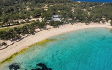 Sechs Festnahmen auf Ibiza: Gäste zahlen 12.300 Euro Rechnung nicht