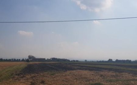Zwei Hektar Rauch in Semoriva: Brandstiftung im italienischen Busseto